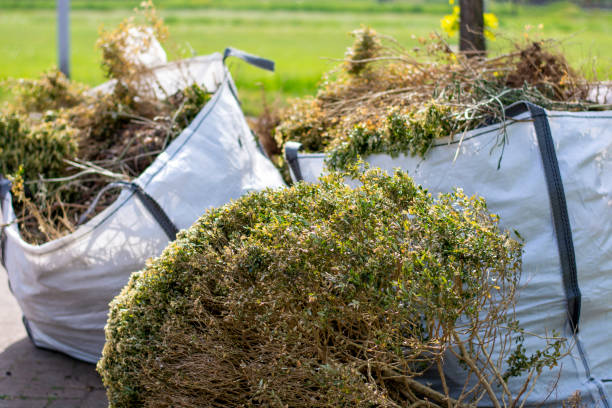  Rio Verde, AZ Junk Removal Services Pros